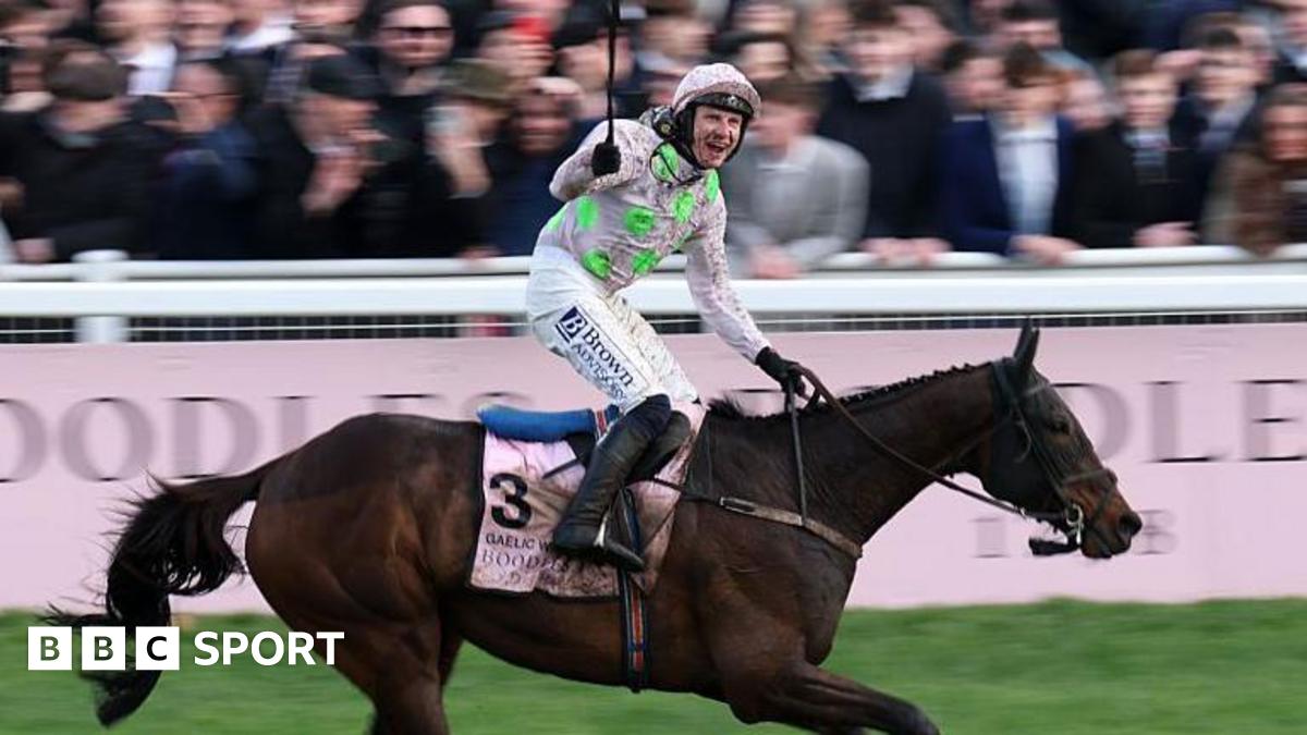 Gaelic Warrior wins Cheltenham Gold Cup