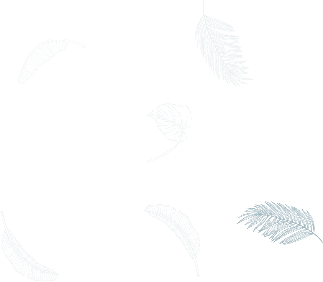 bgshape-image