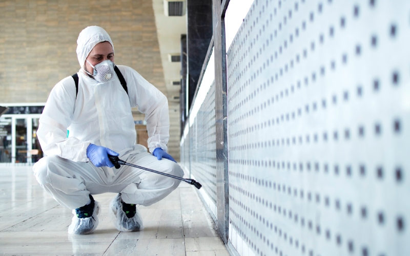 Will Rain Wash Away Pest Control?