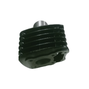 Pistons for 2Wheeler
