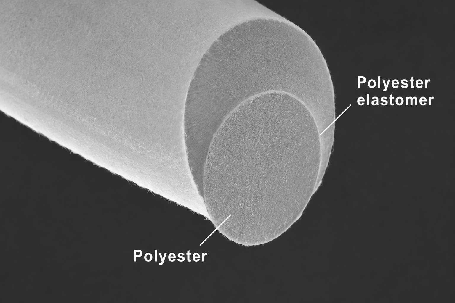 Elastomeric Binder Fiber for Cushion