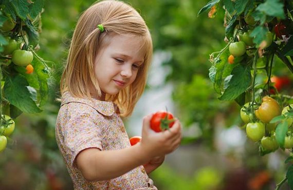 Are You Prepared for the Storm Season