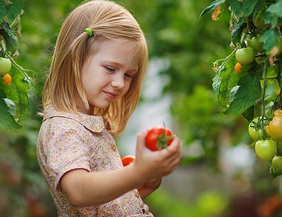 Itaque Earum Rerum Hic