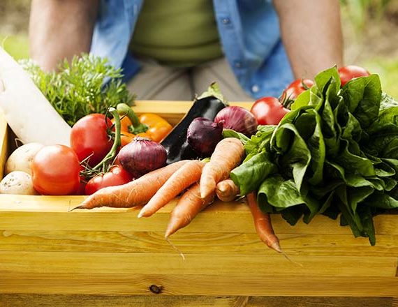 Et Harum Quidem Rerum