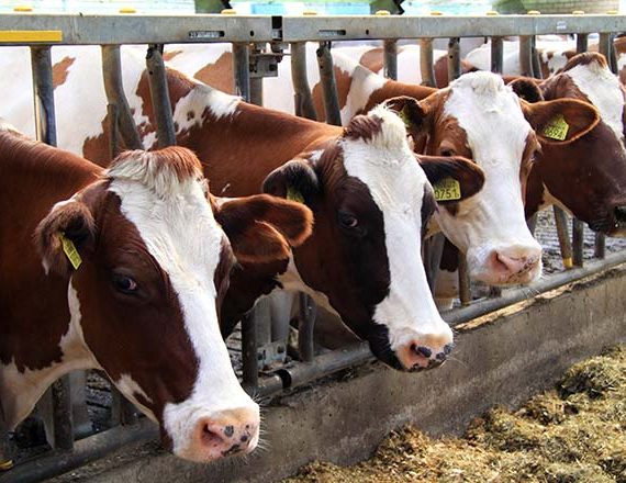 Itaque Earum Rerum Hic