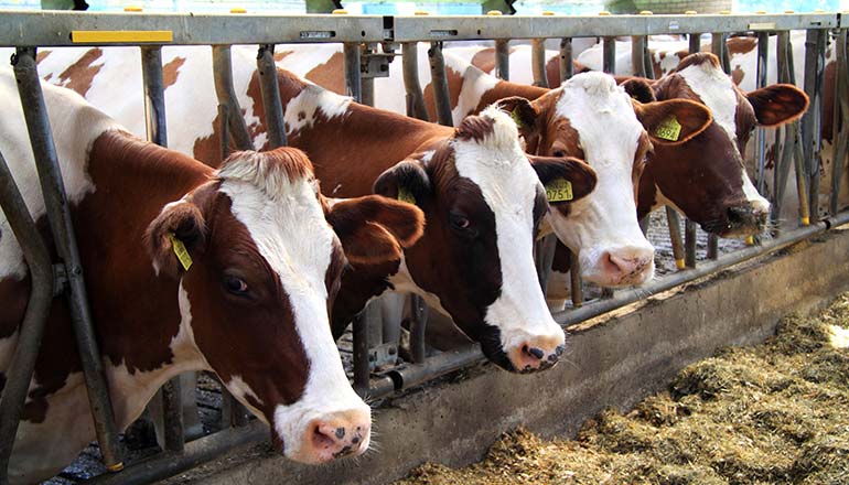 Itaque Earum Rerum Hic