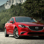 Eutocus Inaugurated First 5S Facility Showroom