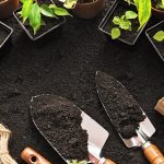 At vero eos et accusamus