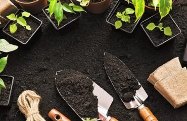 At vero eos et accusamus