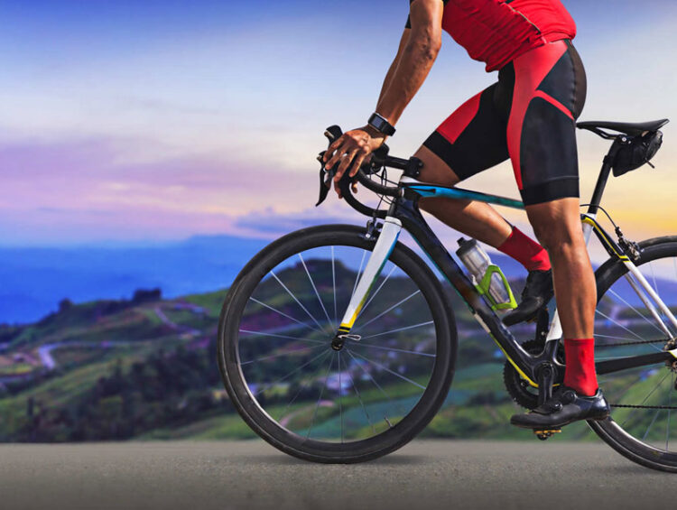 Tour de Pig 2019