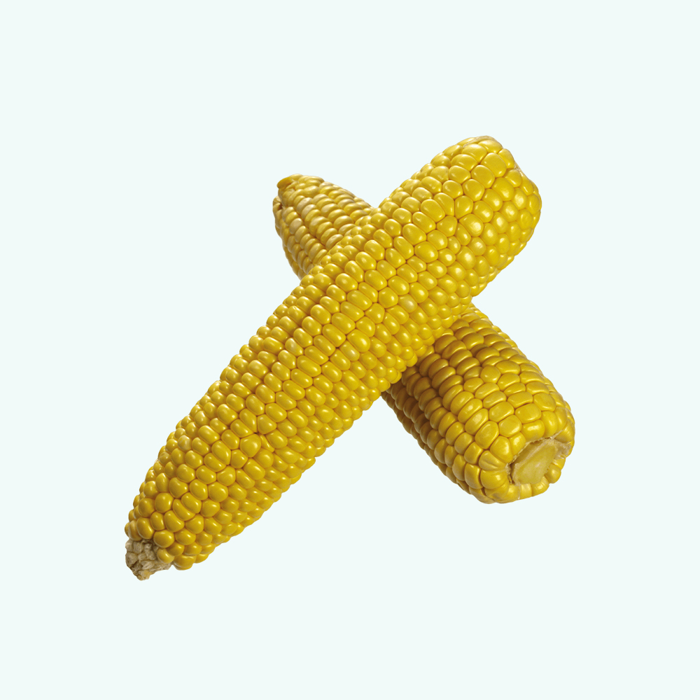 Corn