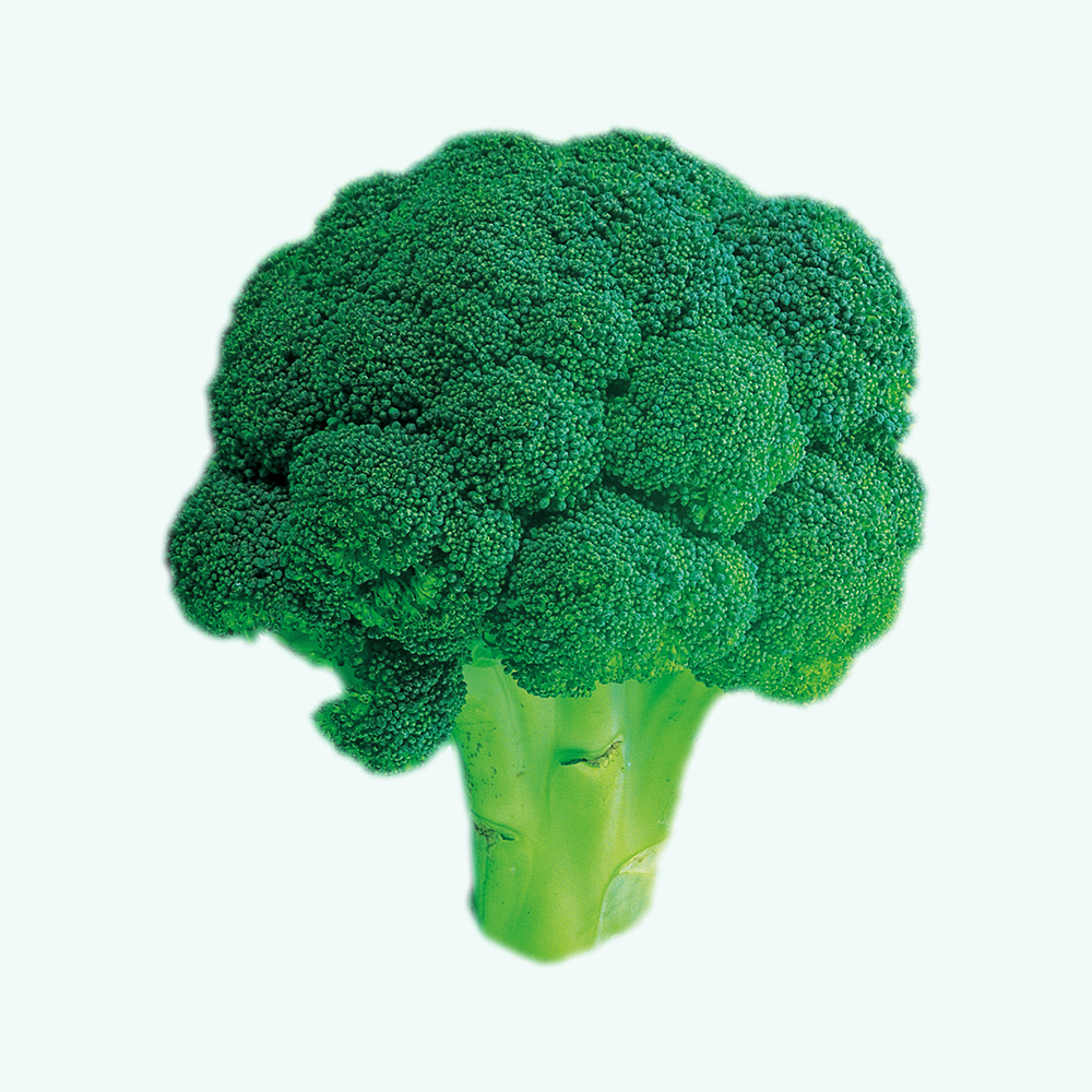 Broccoli