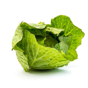 Bok Choy