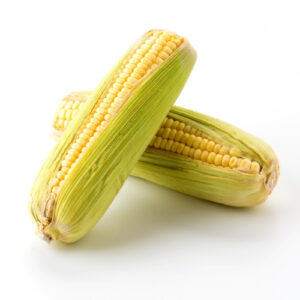 Sweet Corn