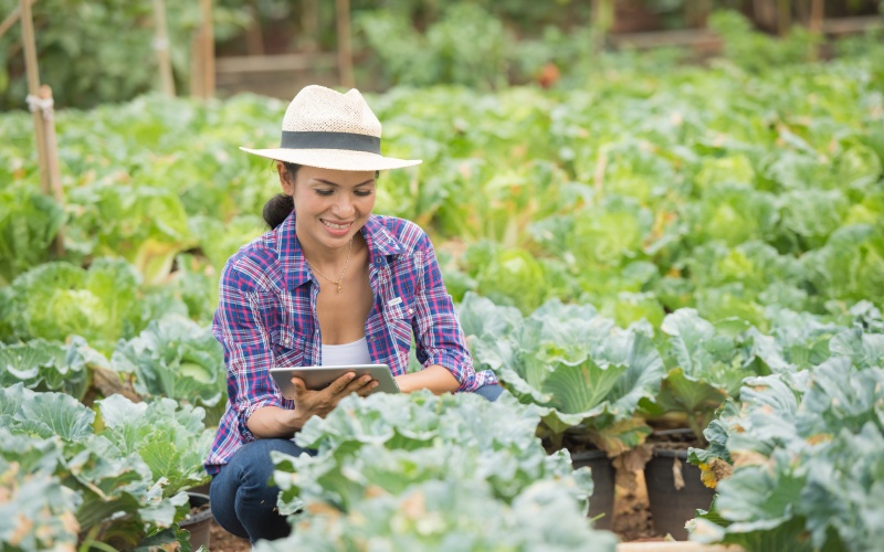 Sustainable Harvesting Methods Every Farmer
