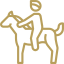 Image Missing