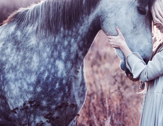 Equine Challenge