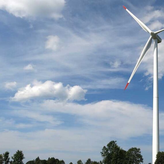 Pediatric Wellness Program