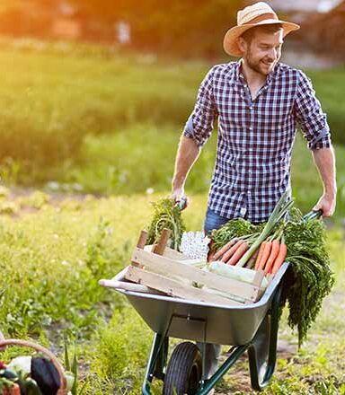 Sustainable Farms, Sustainable Life