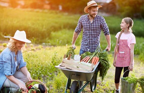 Sustainable Farms, Sustainable Life