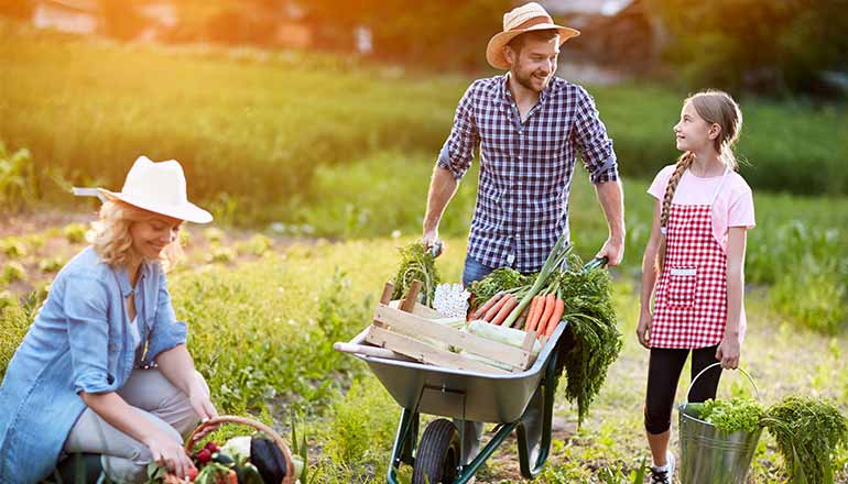 Sustainable Farms, Sustainable Life