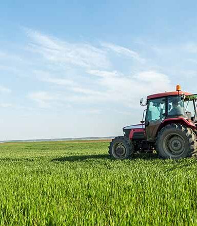 Nurturing Earth, Nurturing Life