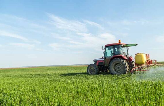 Nurturing Earth, Nurturing Life