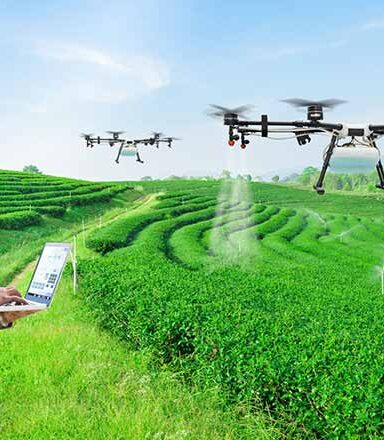 Organic Growth for Everyone