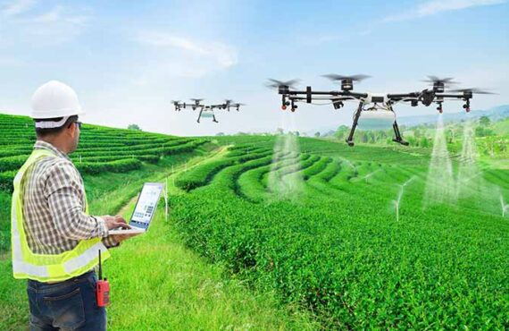 Organic Growth for Everyone