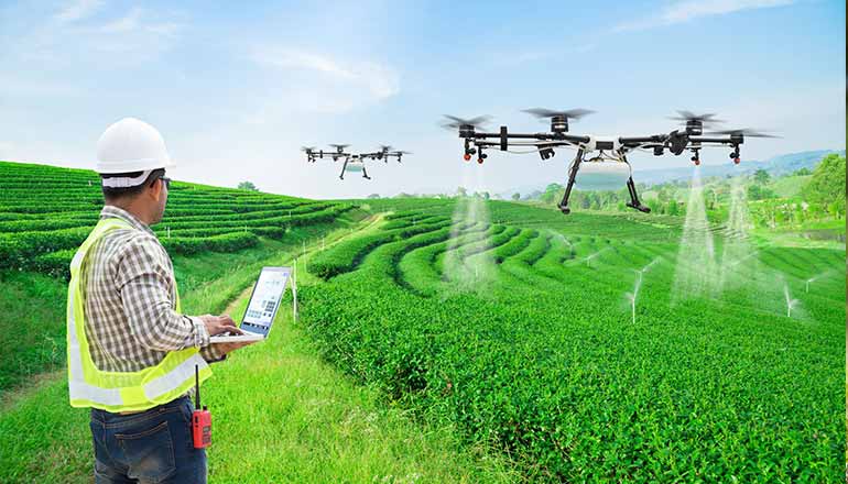 Organic Growth for Everyone