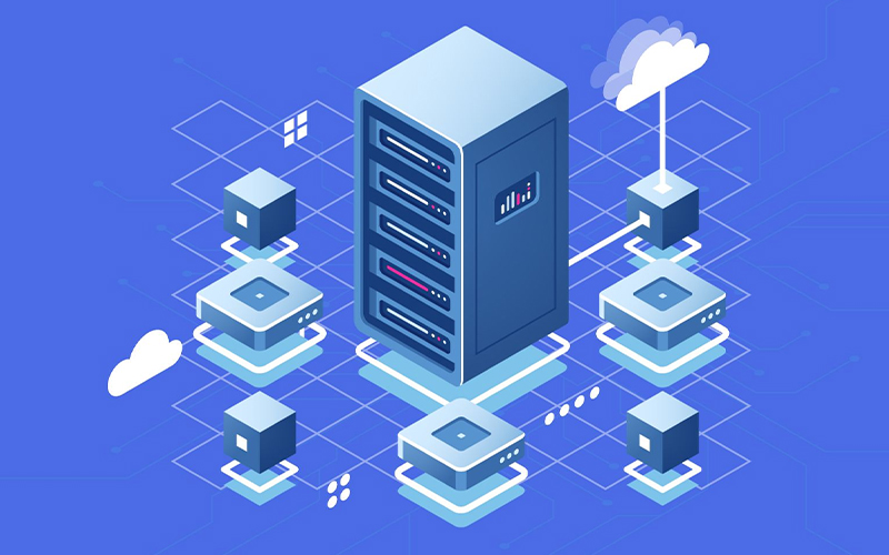 Web Development The Best Work In The Future For The World