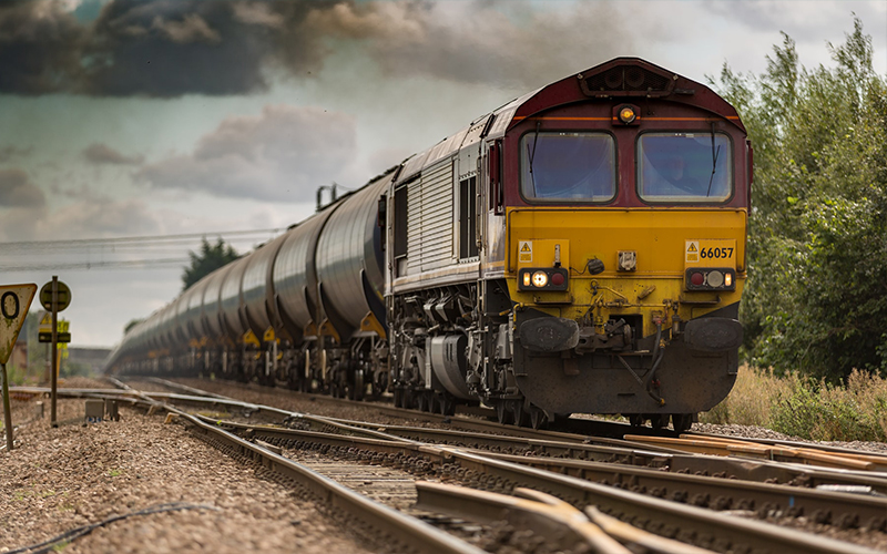 Novum Sadipscing Vis Phasellus Nesdwe Ollis