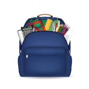 Imperial Blue Casual Bag