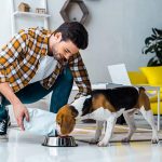 Nam libero tempore, cum