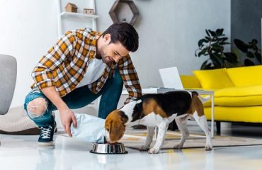 Nam libero tempore, cum