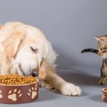 At vero eos et accusamus