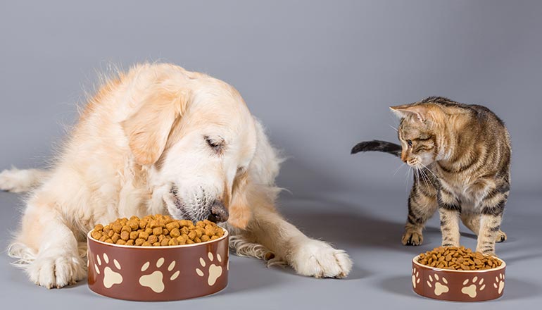 At vero eos et accusamus