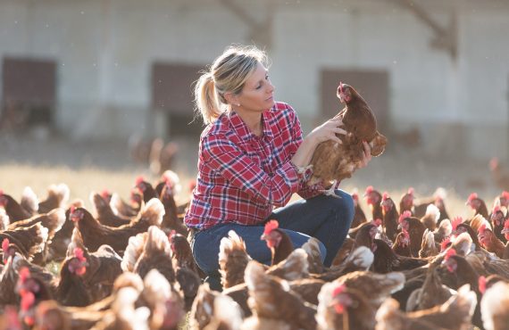 Finding reveal how neem cells