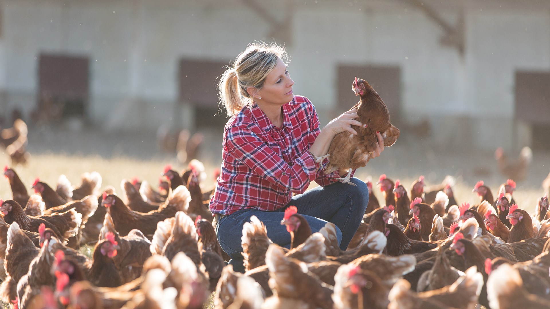 Finding reveal how neem cells