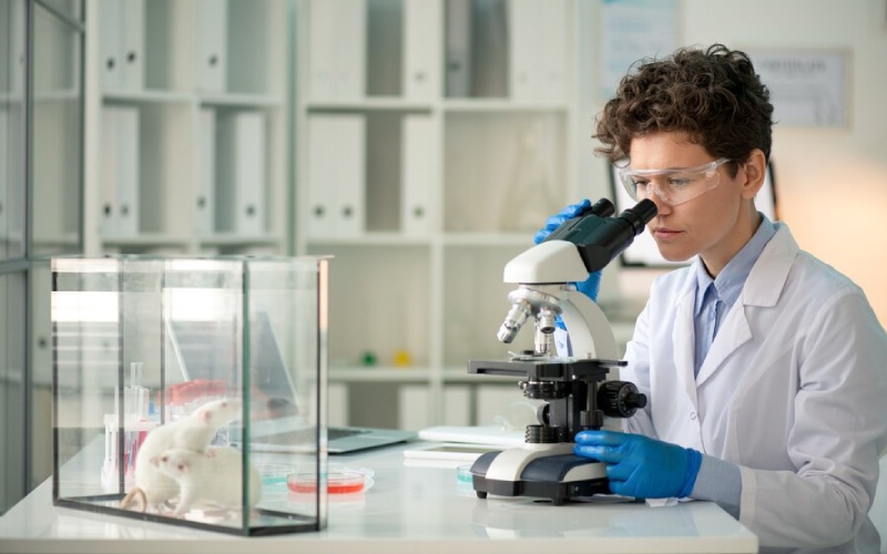 The Latest Breakthroughs in Science Research