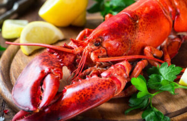 Premium Quality And Inpectable Taste