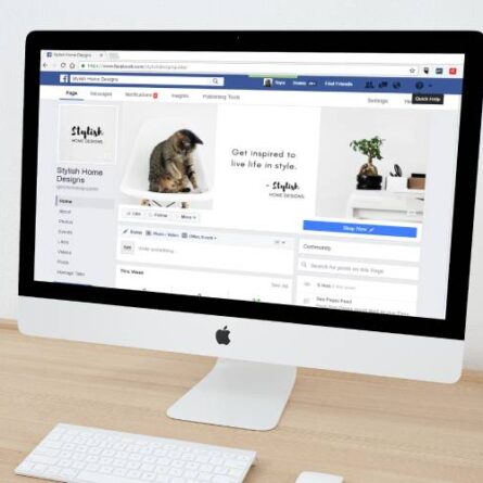 Creative Brand Showcase