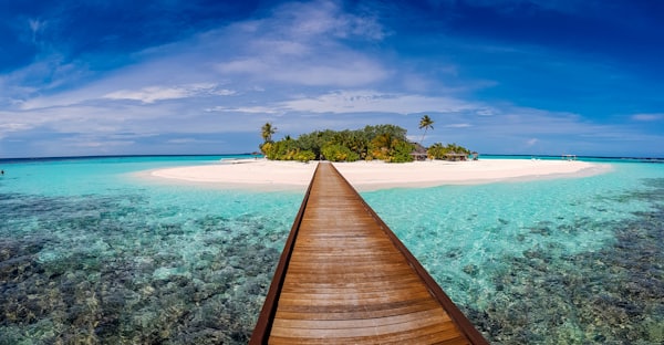Overwater bungalows on a tropical beach