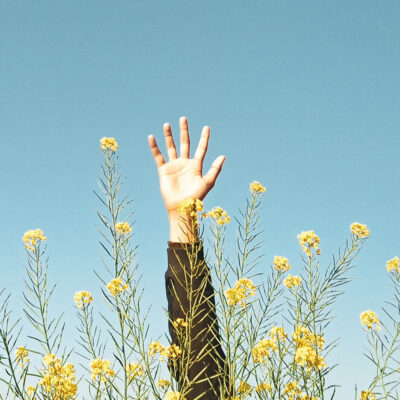 personal-blog4