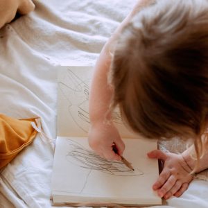 Drawing Sketch