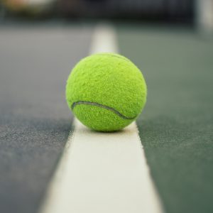 Tennis Cricket Ball