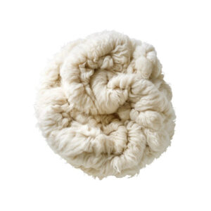 Washed wool
