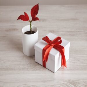 Rehearsal Ready Gift