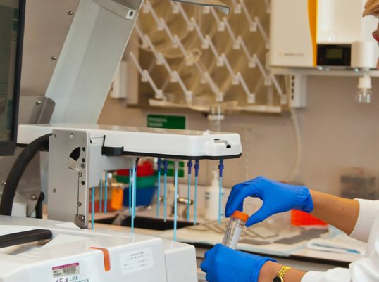 Vivamus ac enim ut magna