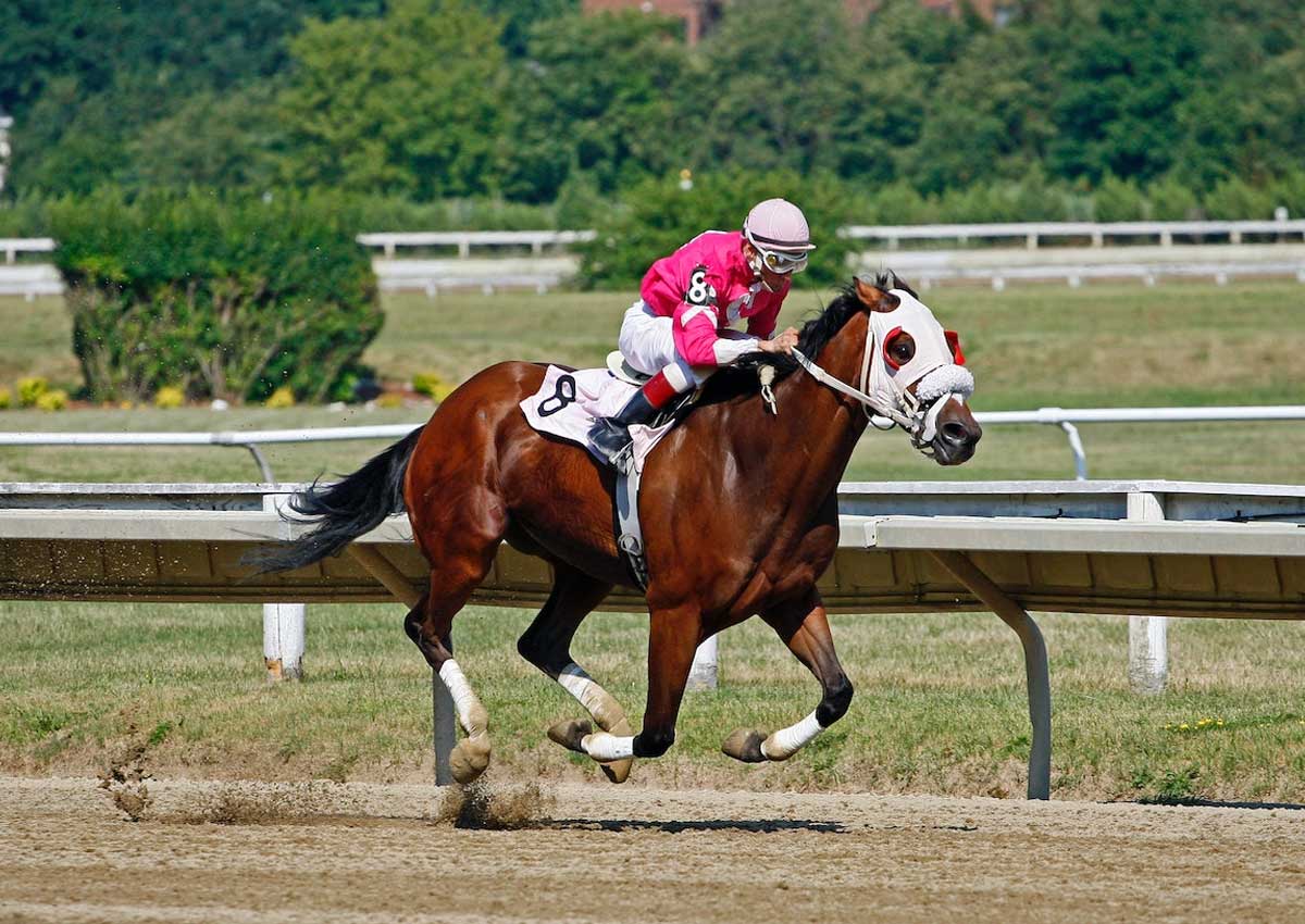 Nullam iaculis turpis at convallis scelerisque